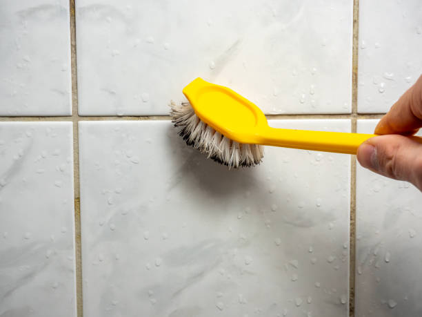 Best Mold Testing and Inspection Services in Goleta, CA